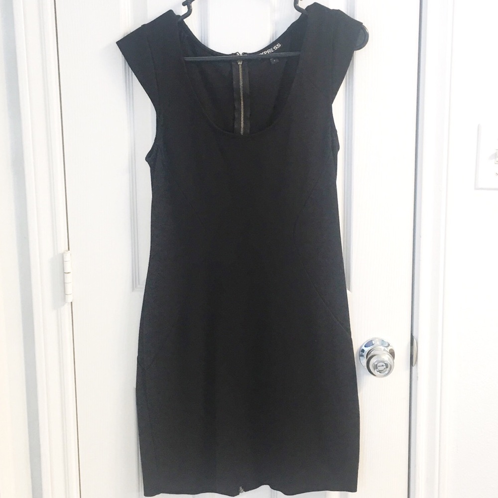 Express Bodycon Dress with exposes zipper